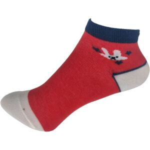 Παιδικές Κάλτσες Βαμβακερές, 1 Ζευγάρι, Με Σχέδιο Νο.16-22, 1-4 Ετών, Πολύχρωμες 4